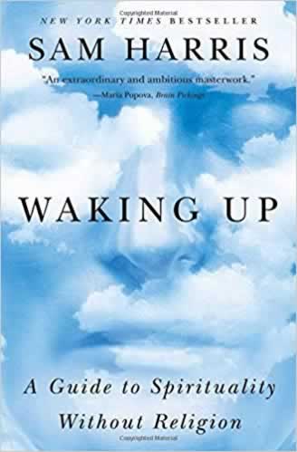 Image result for waking up sam harris